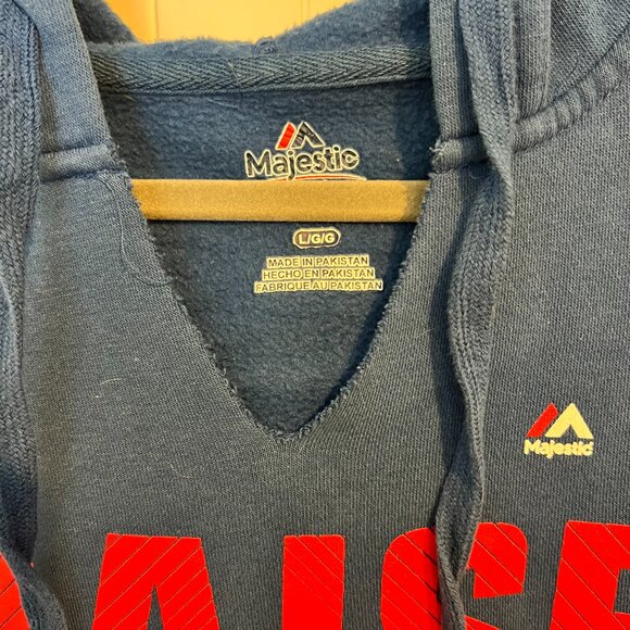 2016 Cubs National League Champions Raise the Flag V-neck Hoodie Unisex - Picture 4 of 8